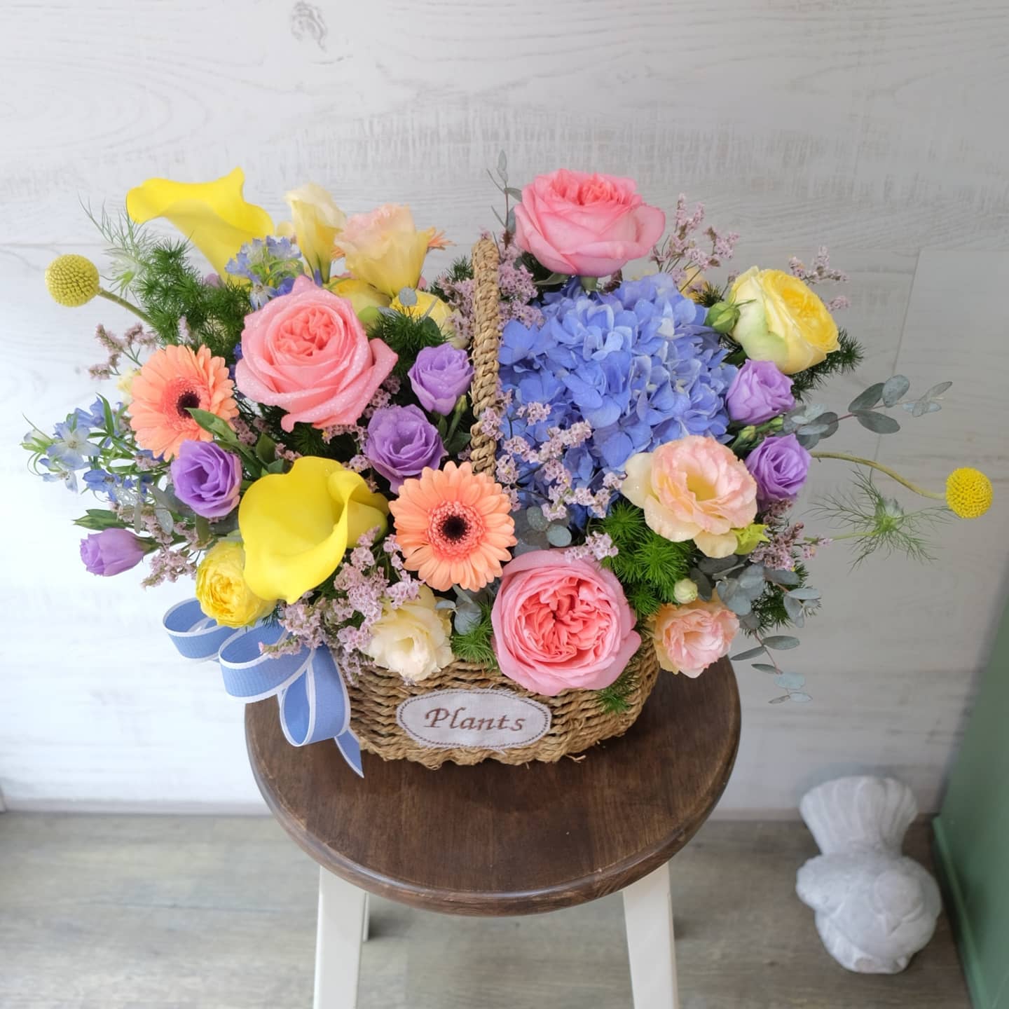 ตะกร้า หลากสี หวาน ดอกไม้หลัก กุหลาบ ไฮเดรนเยีย คาร์เนชั่น — ผลงานร้านดอกไม้ Sweetflower by Issaree