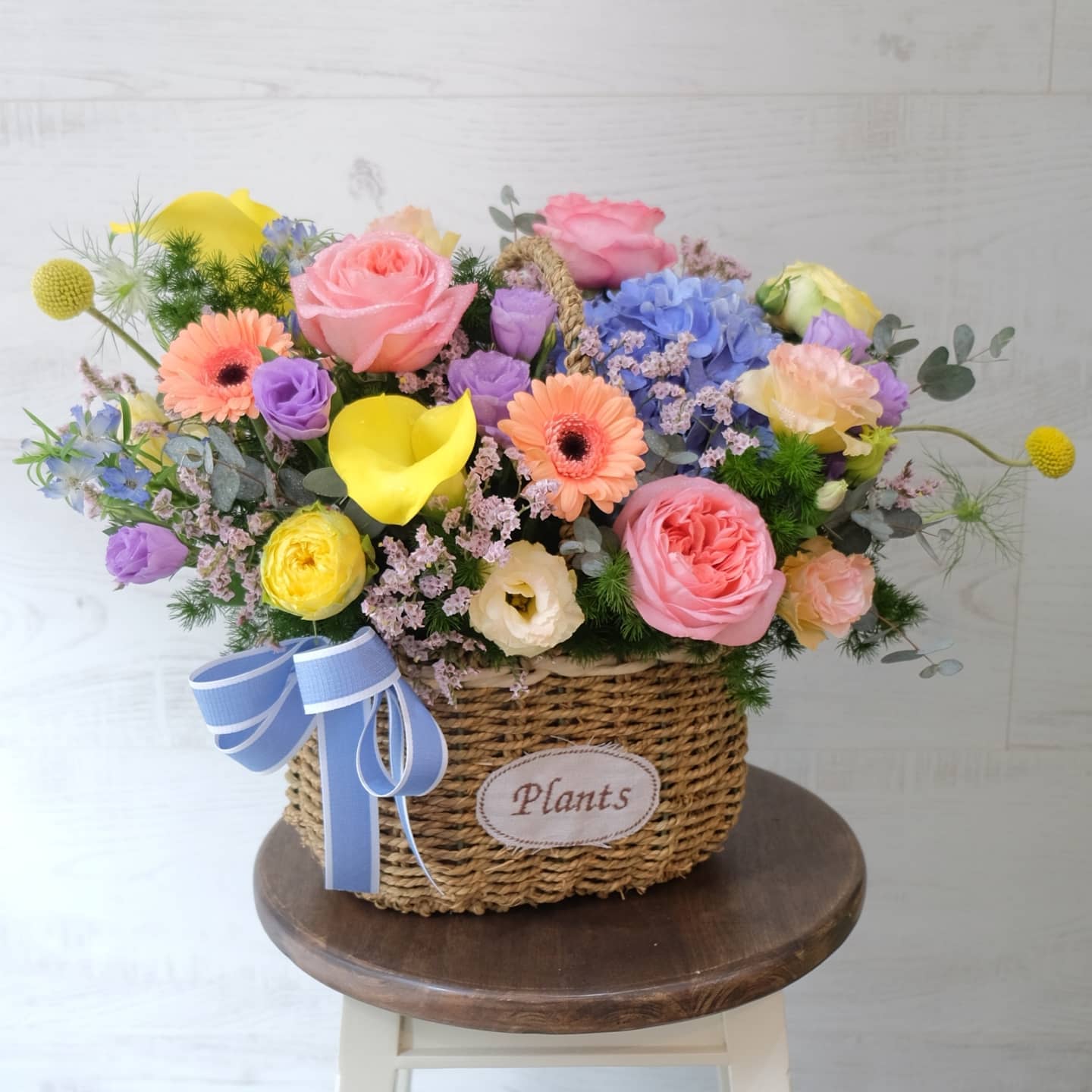 ตะกร้า หลากสี หวาน ดอกไม้หลัก กุหลาบ ไฮเดรนเยีย คาร์เนชั่น — ผลงานร้านดอกไม้ Sweetflower by Issaree — ภาพที่ 3 จาก 6