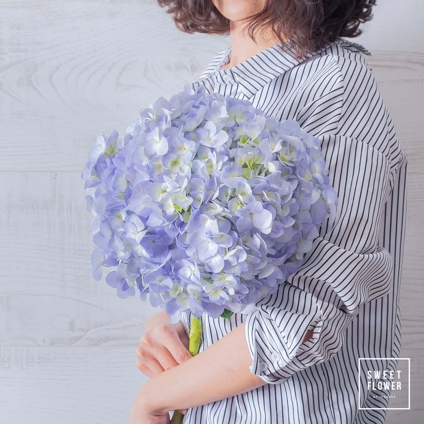 ช่อ ม่วง-ฟ้า หวาน ดอกไม้หลัก ไฮเดรนเยีย — ผลงานร้านดอกไม้ Sweetflower by Issaree — ภาพที่ 3 จาก 4