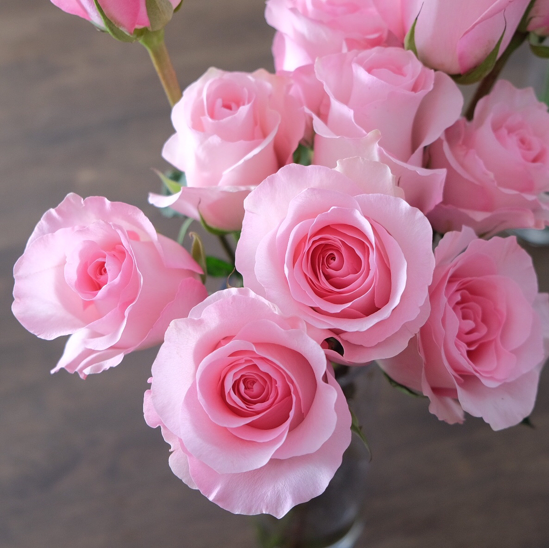 ช่อ หลากสี หวาน ดอกไม้หลัก กุหลาบ — ผลงานร้านดอกไม้ Sweetflower by Issaree — ภาพที่ 3 จาก 6