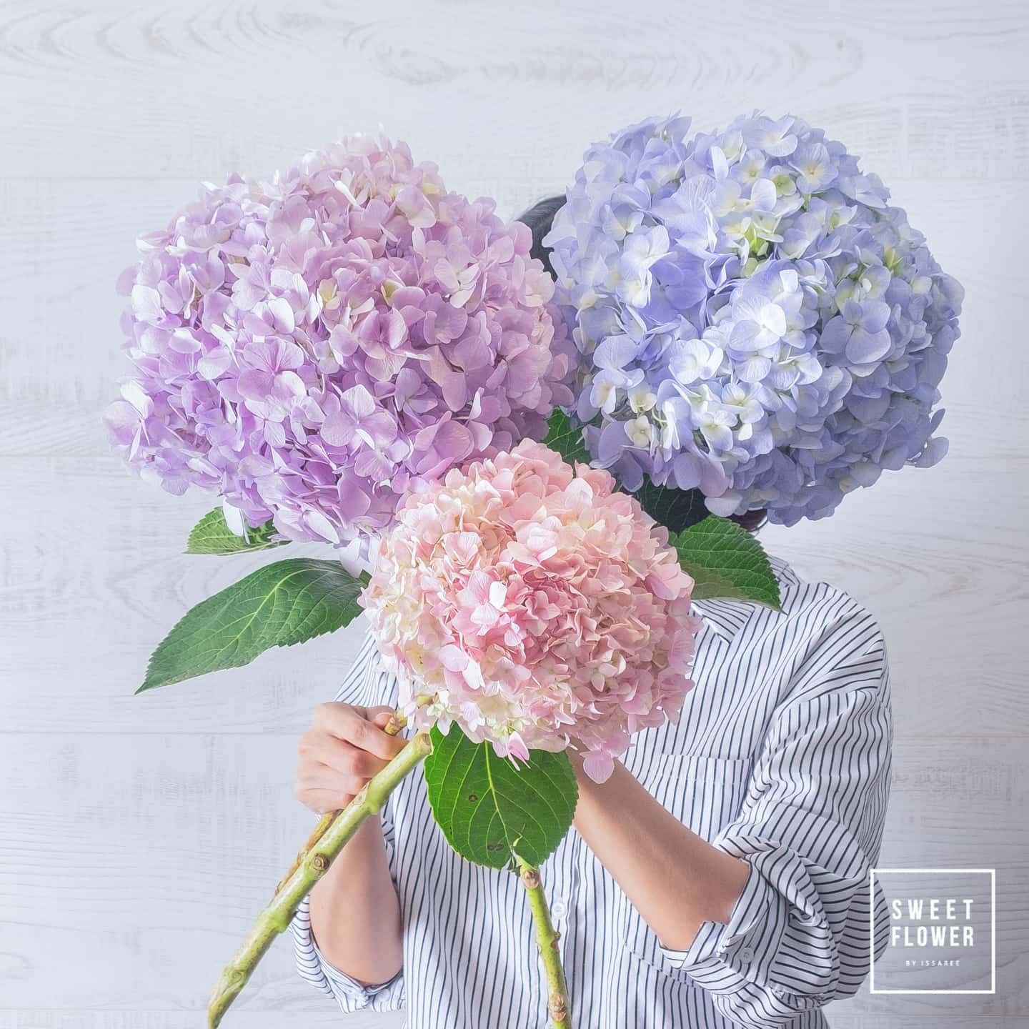 ช่อ ม่วง-ฟ้า หวาน ดอกไม้หลัก ไฮเดรนเยีย — ผลงานร้านดอกไม้ Sweetflower by Issaree — ภาพที่ 4 จาก 4
