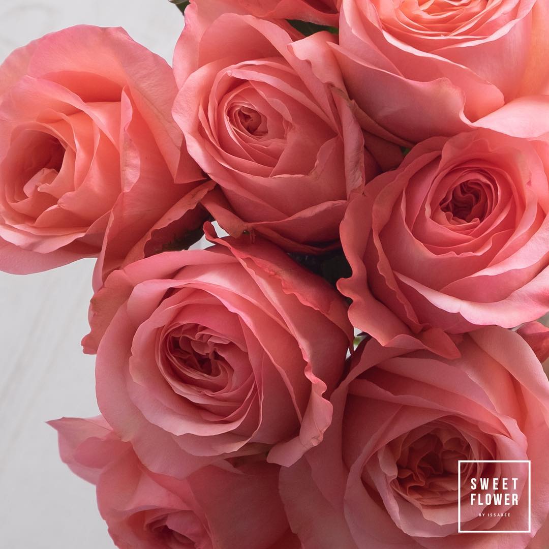ช่อ แดงโรแมนติก คลาสสิก ดอกไม้หลัก กุหลาบ — ผลงานร้านดอกไม้ Sweetflower by Issaree