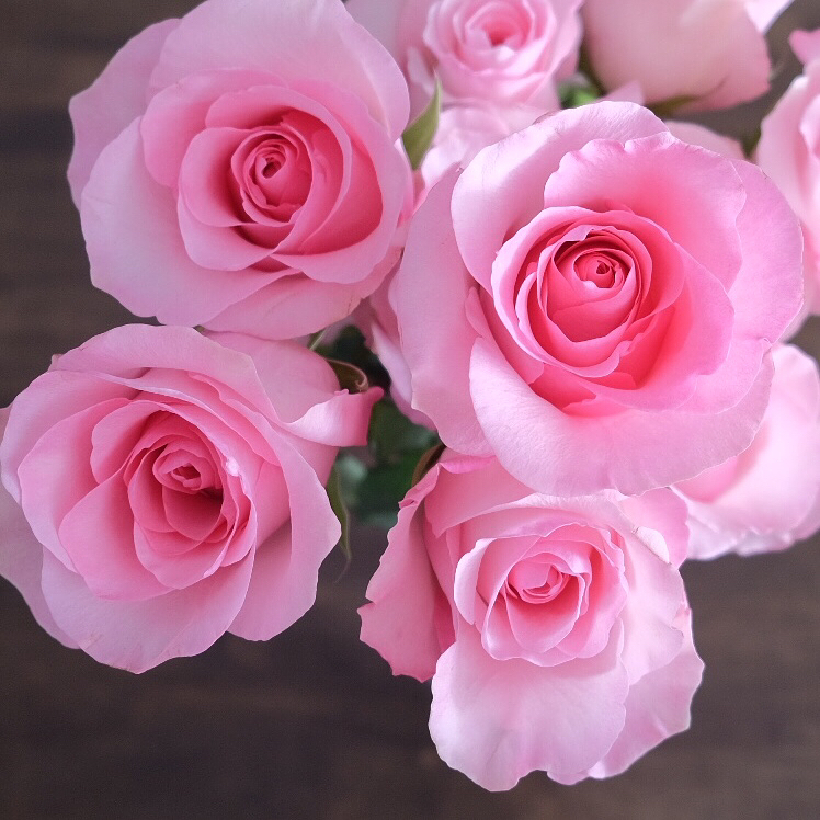 ช่อ หลากสี หวาน ดอกไม้หลัก กุหลาบ — ผลงานร้านดอกไม้ Sweetflower by Issaree — ภาพที่ 4 จาก 6