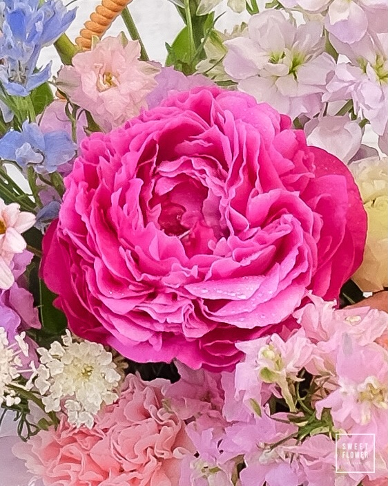 ตะกร้า หลากสี หวาน ดอกไม้หลัก กุหลาบ คาร์เนชั่น เยอบีร่า — ผลงานร้านดอกไม้ Sweetflower by Issaree