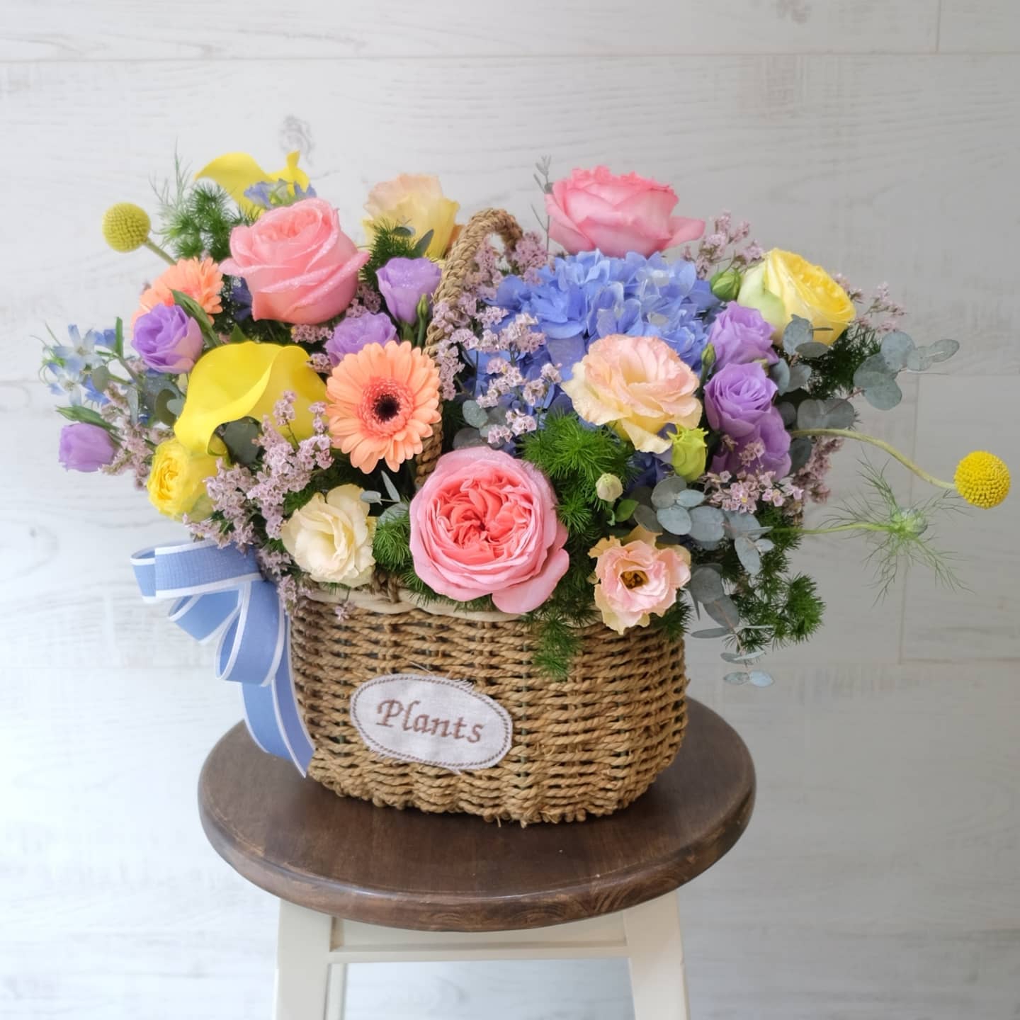 ตะกร้า หลากสี หวาน ดอกไม้หลัก กุหลาบ ไฮเดรนเยีย คาร์เนชั่น — ผลงานร้านดอกไม้ Sweetflower by Issaree — ภาพที่ 6 จาก 6